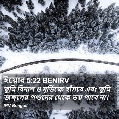 ইয়োব 5:22 BENIRV Bible Verse Image