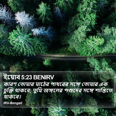 ইয়োব 5:23 BENIRV Bible Verse Image
