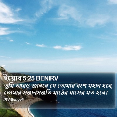 ইয়োব 5:25 BENIRV Bible Verse Image