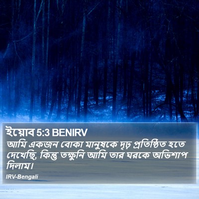 ইয়োব 5:3 BENIRV Bible Verse Image