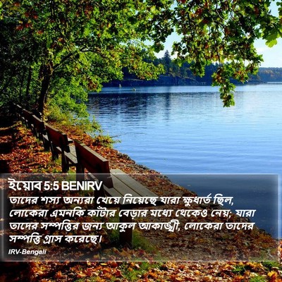 ইয়োব 5:5 BENIRV Bible Verse Image