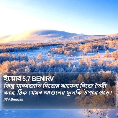 ইয়োব 5:7 BENIRV Bible Verse Image