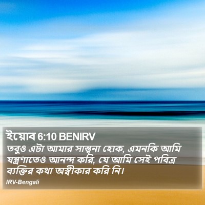 ইয়োব 6:10 BENIRV Bible Verse Image