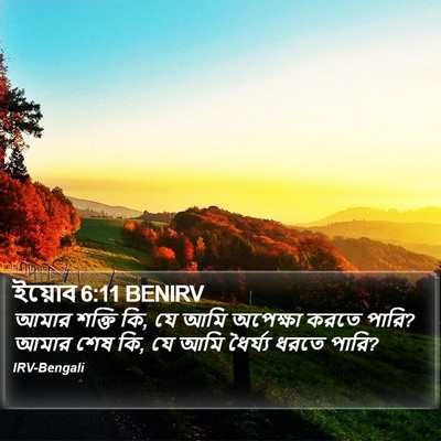 ইয়োব 6:11 BENIRV Bible Verse Image