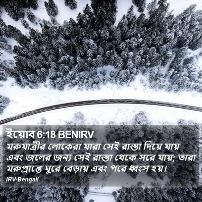 ইয়োব 6:18 BENIRV Bible Verse Image
