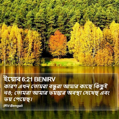 ইয়োব 6:21 BENIRV Bible Verse Image