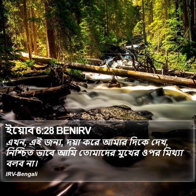 ইয়োব 6:28 BENIRV Bible Verse Image