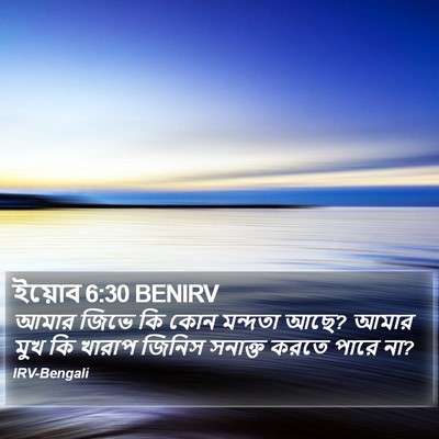 ইয়োব 6:30 BENIRV Bible Verse Image