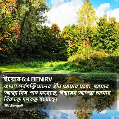 ইয়োব 6:4 BENIRV Bible Verse Image