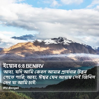 ইয়োব 6:8 BENIRV Bible Verse Image