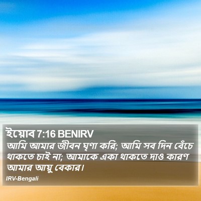 ইয়োব 7:16 BENIRV Bible Verse Image