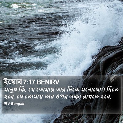 ইয়োব 7:17 BENIRV Bible Verse Image