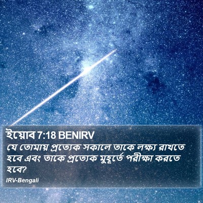 ইয়োব 7:18 BENIRV Bible Verse Image