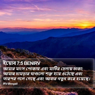 ইয়োব 7:5 BENIRV Bible Verse Image