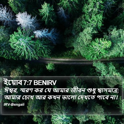 ইয়োব 7:7 BENIRV Bible Verse Image