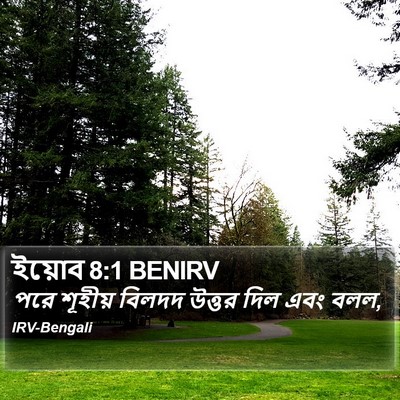 ইয়োব 8:1 BENIRV Bible Verse Image