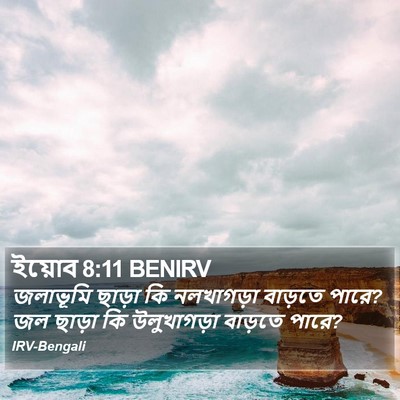 ইয়োব 8:11 BENIRV Bible Verse Image