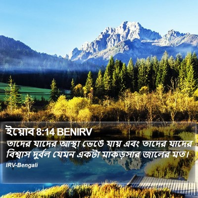 ইয়োব 8:14 BENIRV Bible Verse Image