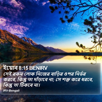 ইয়োব 8:15 BENIRV Bible Verse Image