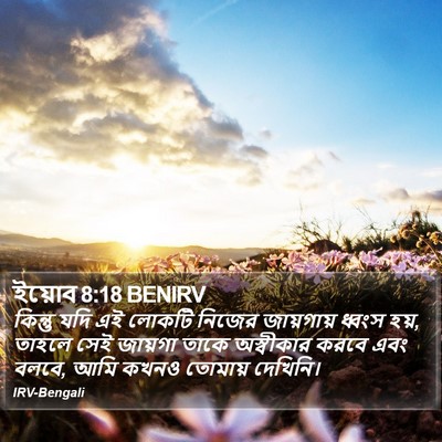 ইয়োব 8:18 BENIRV Bible Verse Image