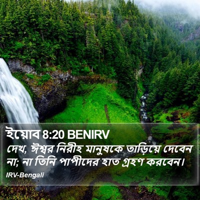 ইয়োব 8:20 BENIRV Bible Verse Image