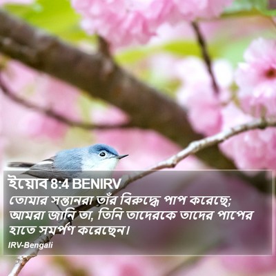 ইয়োব 8:4 BENIRV Bible Verse Image