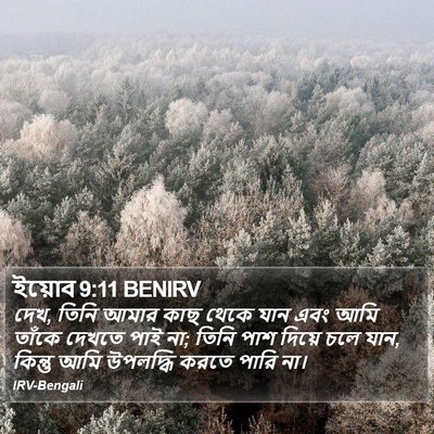 ইয়োব 9:11 BENIRV Bible Verse Image