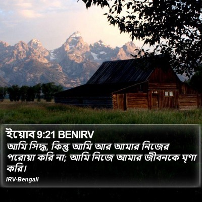 ইয়োব 9:21 BENIRV Bible Verse Image