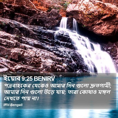 ইয়োব 9:25 BENIRV Bible Verse Image