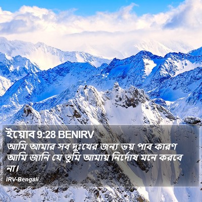 ইয়োব 9:28 BENIRV Bible Verse Image