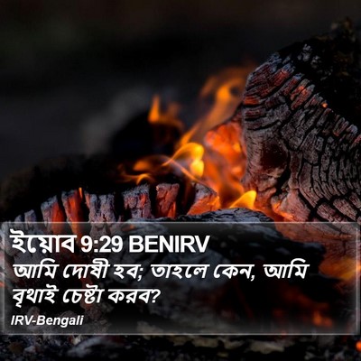 ইয়োব 9:29 BENIRV Bible Verse Image