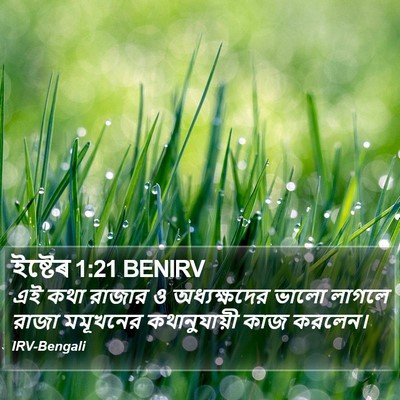 ইষ্টেৰ 1:21 BENIRV Bible Verse Image