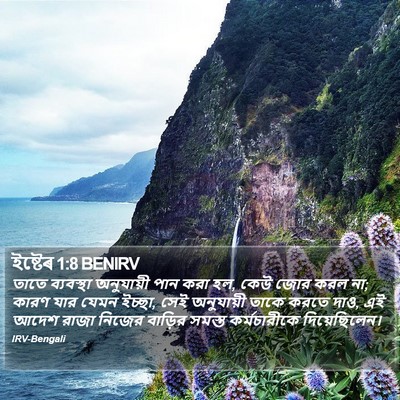 ইষ্টেৰ 1:8 BENIRV Bible Verse Image