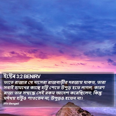 ইষ্টেৰ 3:2 BENIRV Bible Verse Image