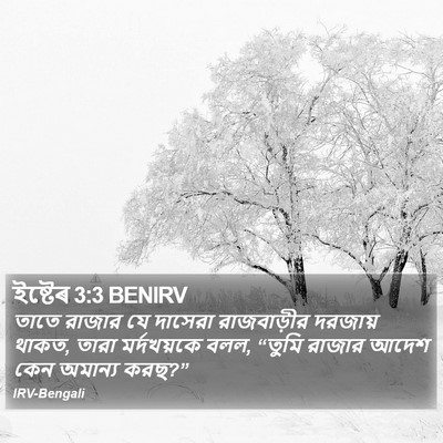 ইষ্টেৰ 3:3 BENIRV Bible Verse Image