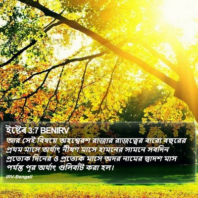 ইষ্টেৰ 3:7 BENIRV Bible Verse Image