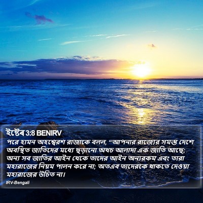 ইষ্টেৰ 3:8 BENIRV Bible Verse Image