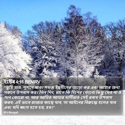ইষ্টেৰ 4:16 BENIRV Bible Verse Image