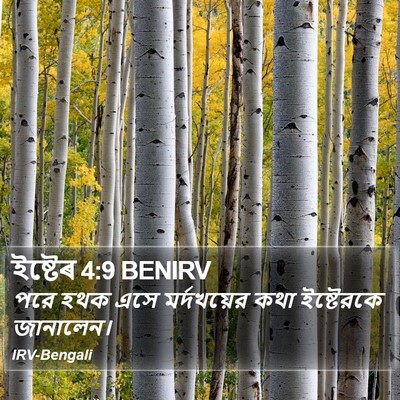 ইষ্টেৰ 4:9 BENIRV Bible Verse Image