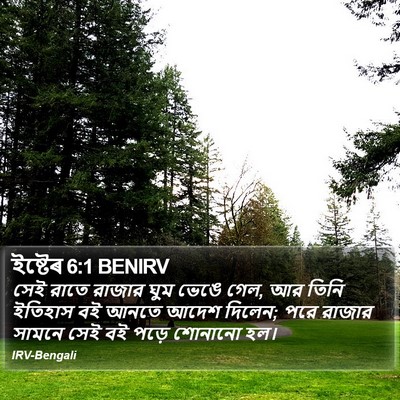 ইষ্টেৰ 6:1 BENIRV Bible Verse Image