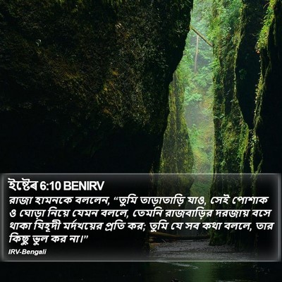 ইষ্টেৰ 6:10 BENIRV Bible Verse Image