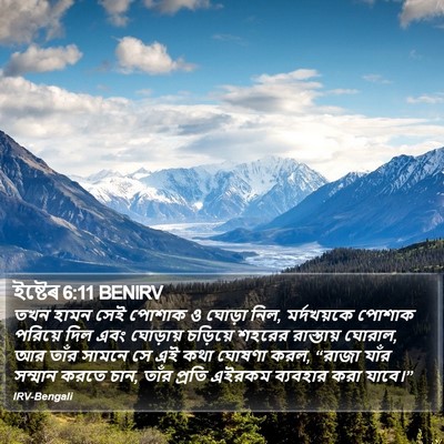 ইষ্টেৰ 6:11 BENIRV Bible Verse Image