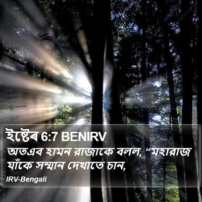 ইষ্টেৰ 6:7 BENIRV Bible Verse Image