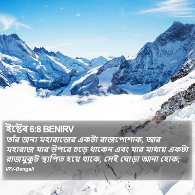ইষ্টেৰ 6:8 BENIRV Bible Verse Image