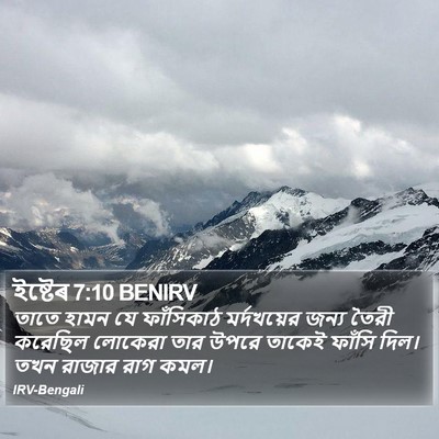 ইষ্টেৰ 7:10 BENIRV Bible Verse Image