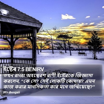 ইষ্টেৰ 7:5 BENIRV Bible Verse Image
