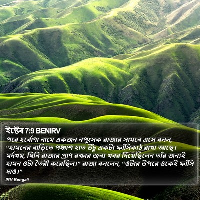 ইষ্টেৰ 7:9 BENIRV Bible Verse Image