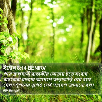 ইষ্টেৰ 8:14 BENIRV Bible Verse Image