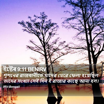 ইষ্টেৰ 9:11 BENIRV Bible Verse Image