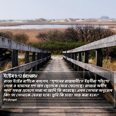 ইষ্টেৰ 9:12 BENIRV Bible Verse Image